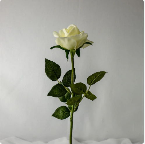 Off White Real Touch Open Bloom Rose - Realistic Artificial Flowers - Image 3