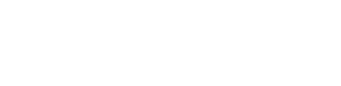 Ilana Gross Logo