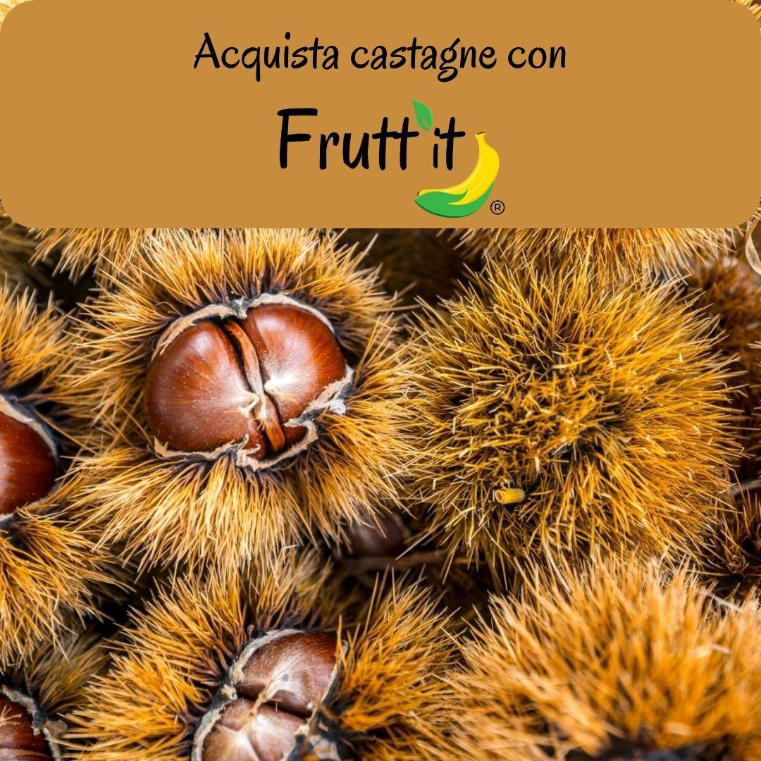 Acquista castagne online | Fruttit
