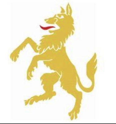 Louth Cricket Club Logo