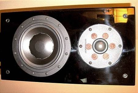 swan 2.1 se customs