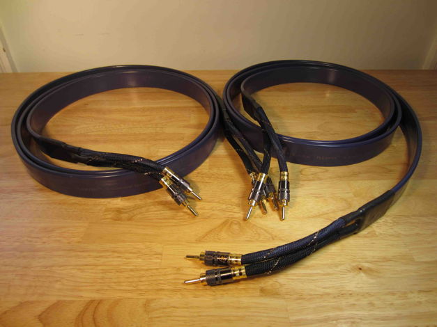 River Cable FLEXYGY Speaker Cables