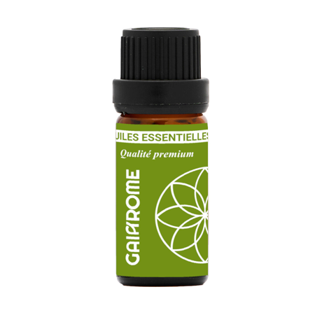 Huile Essentielle - Thym à Thymol BIO
