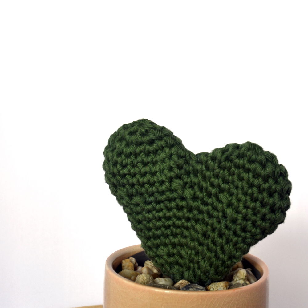 Hoya Kerrii - heart plant