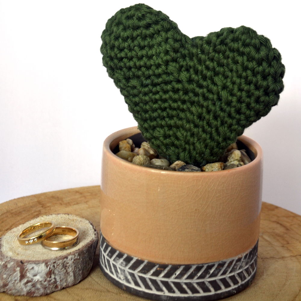 Hoya Kerrii - heart plant