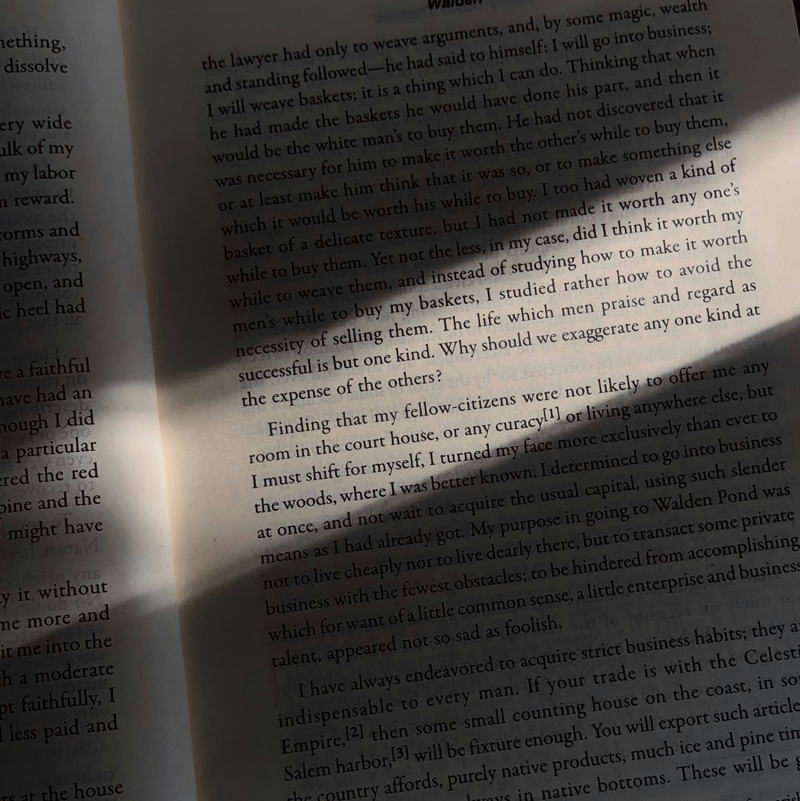 https://ucarecdn.com/8b0e218d-0df3-43b0-8d7b-adbb28203b51/-/crop/2153x2156/0,555/-/preview/ cover