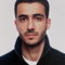 Remote Analytical platforms programmer - Arman V.
