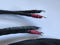 Synergistic Research Tesla Apex LE  speaker cables 3m 5