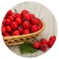 Hawthorn berries included in the best multivitamins for men whole food blend