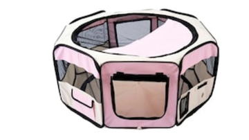 Main Content Image