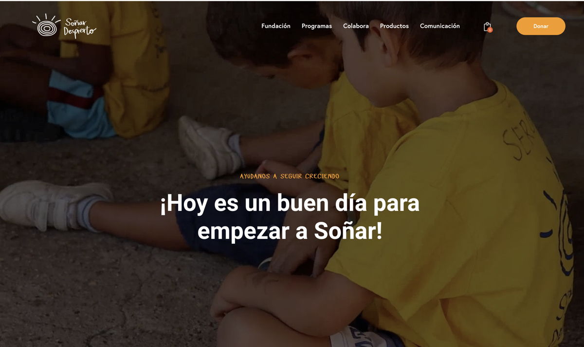 Screenshot of Sonar Despierto, from the ecommerce websites collection.