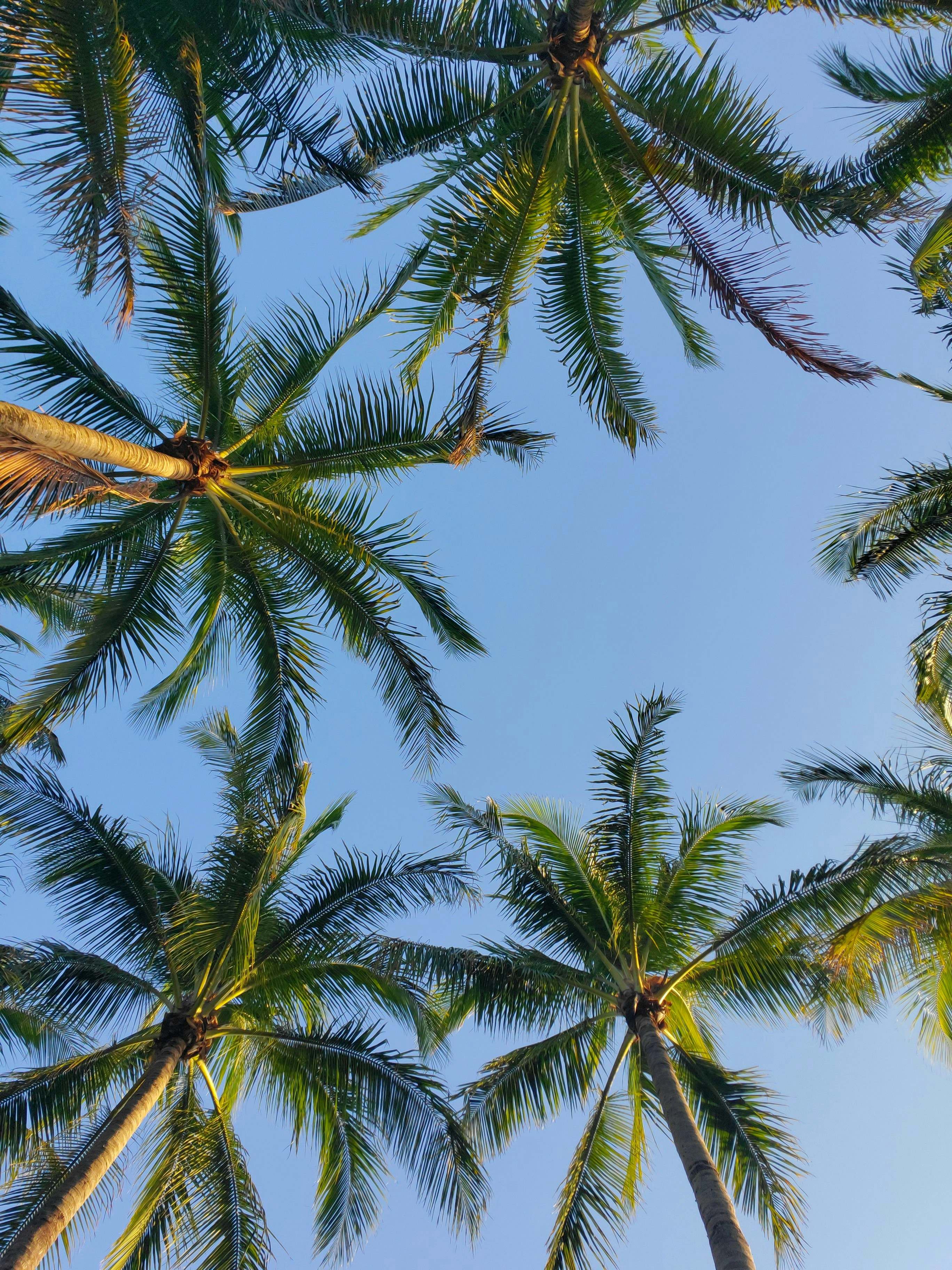 Florida Relocation Guide (Overview)