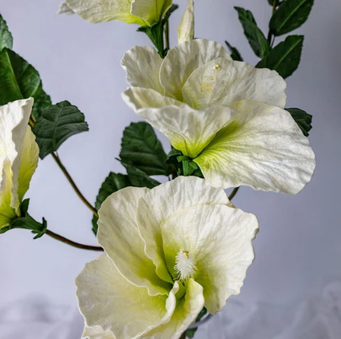 White Large Hibiscus - Realistic Artificial Flowers - Image 4