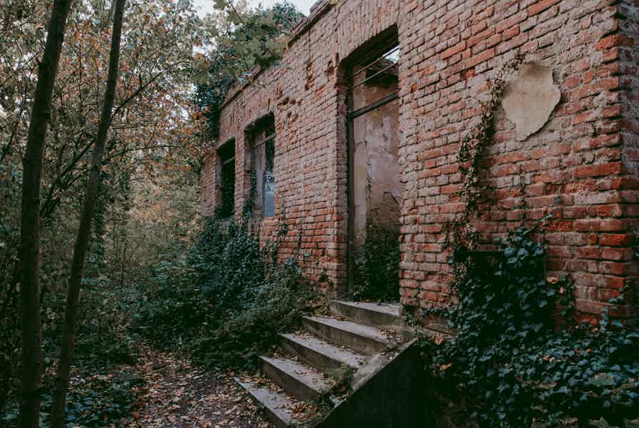 Psychiatric Hospital & Abandoned Cemetery - photo 2