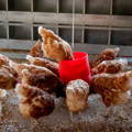 fermented_feed_reduces_chicken_waste