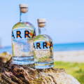 Bouteilles d'Arran Gin de la distillerie Isle of Arran Gin sur l'île d'Arran au sud de l'Ecosse