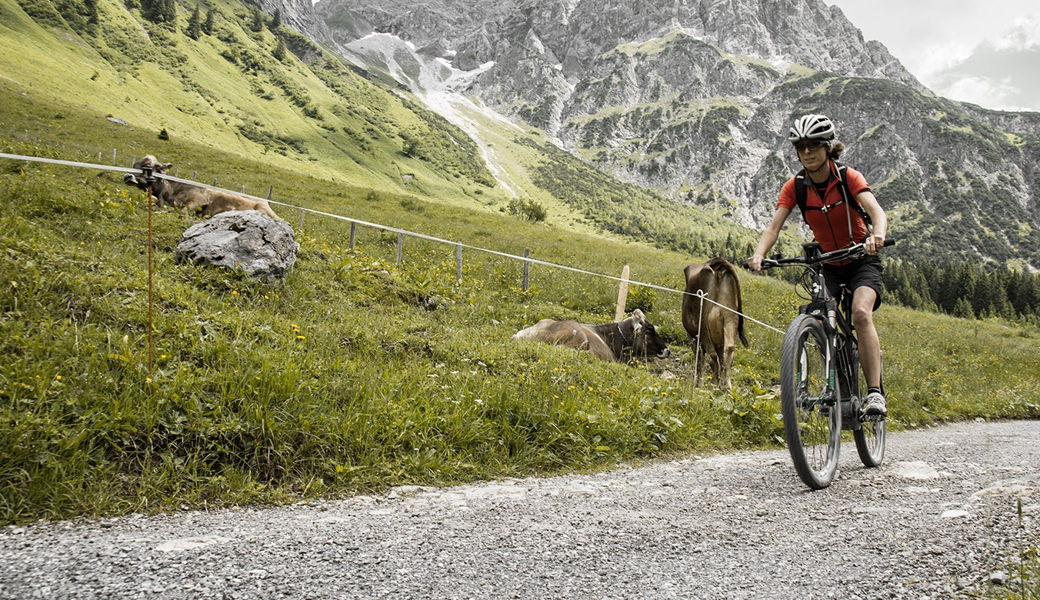 Mountainbiken in Riezlern, Kleinwalsertal