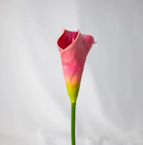 Fuchsia Mini Calla Lily - Realistic Artificial Flowers - Image 3