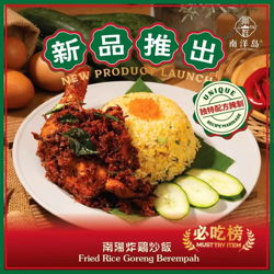 Ayam Goreng Berempah Fried Rice 南陽炸鸡腿炒饭
