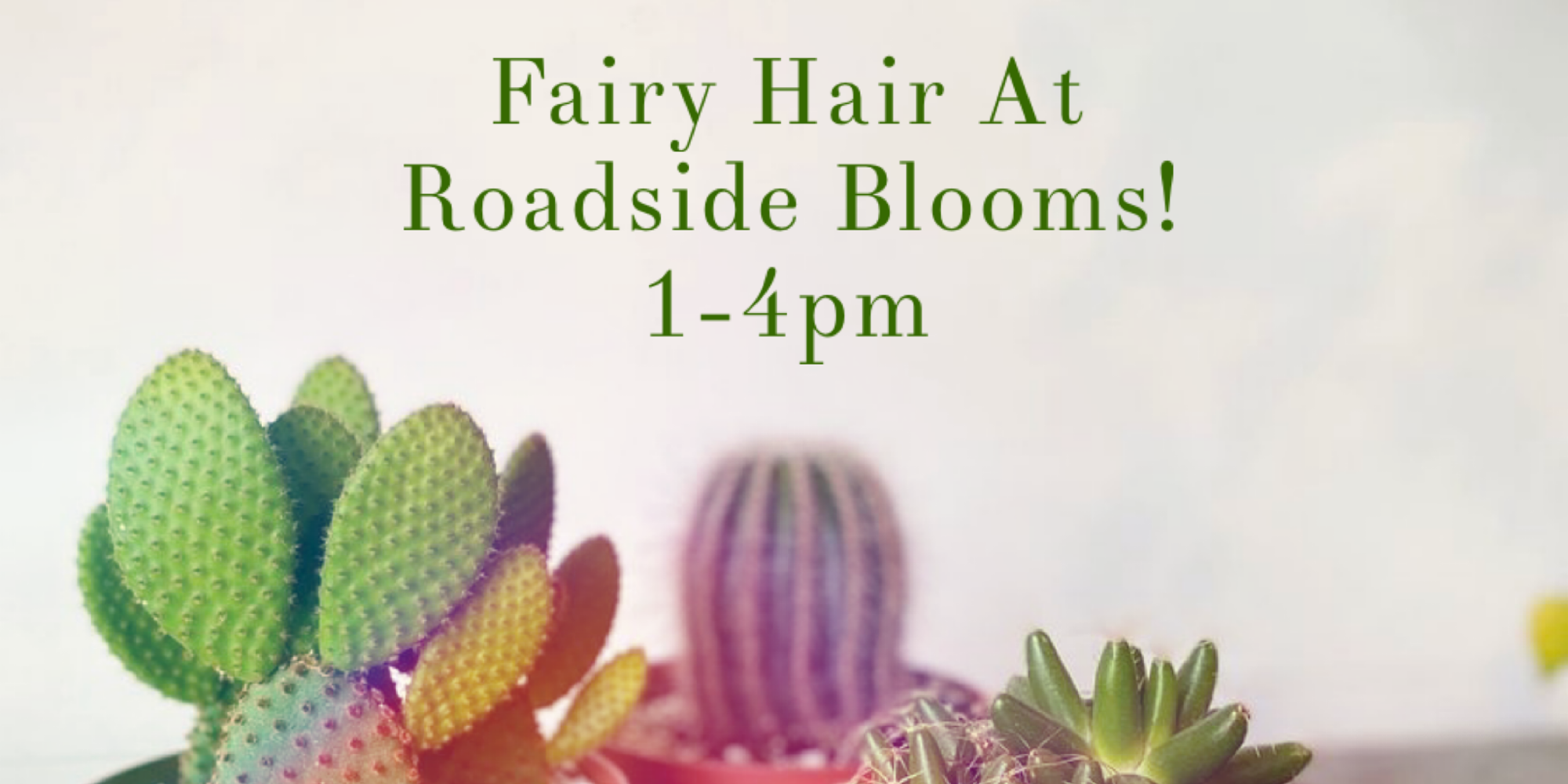 Fairy Hair at Roadside Blooms promotional image