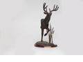 White Tail Deer Bust Moon Walk by Dave Constantine