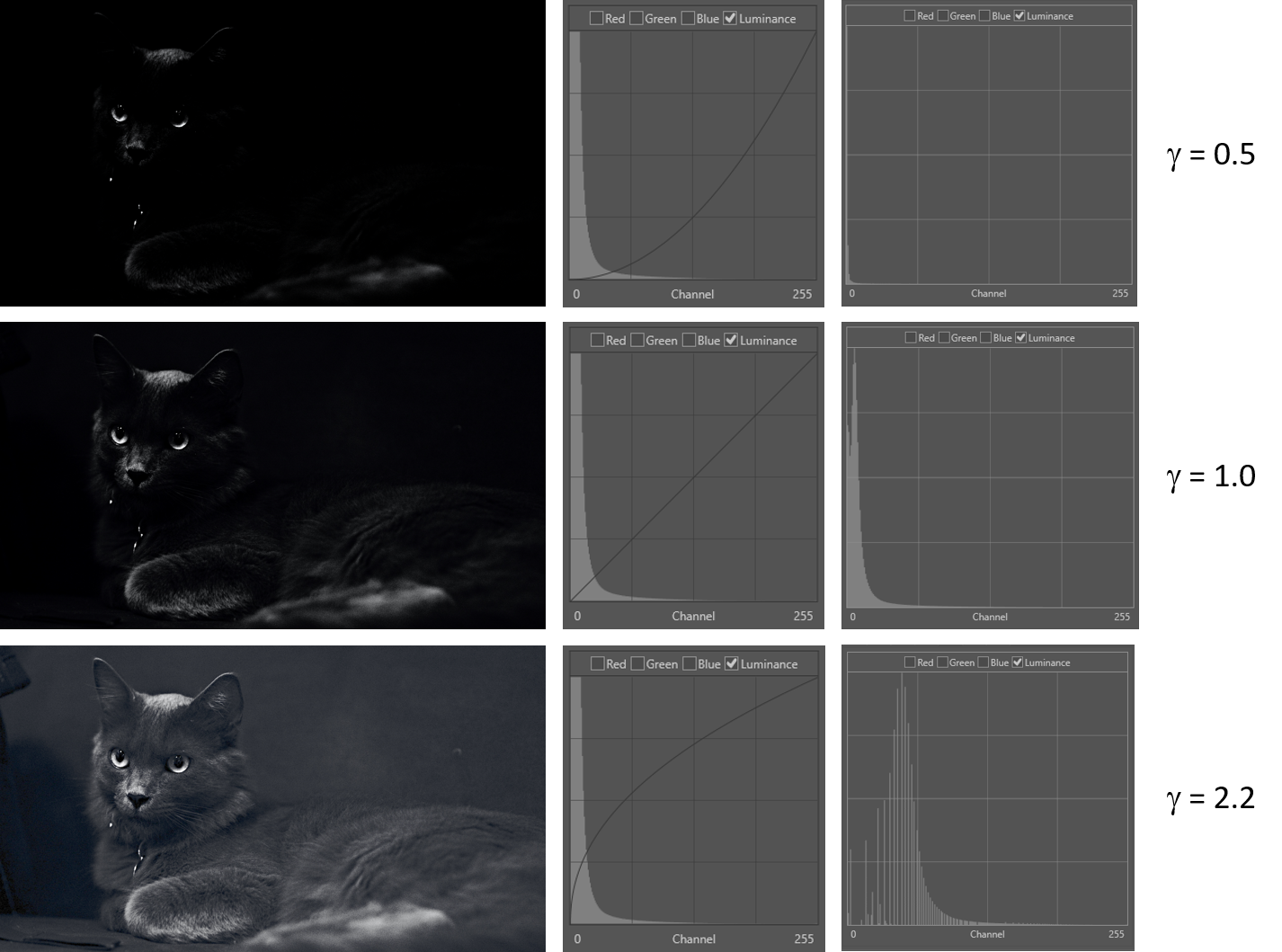 Contrast adjustments | Foclar