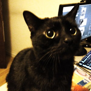 Simona Avatar