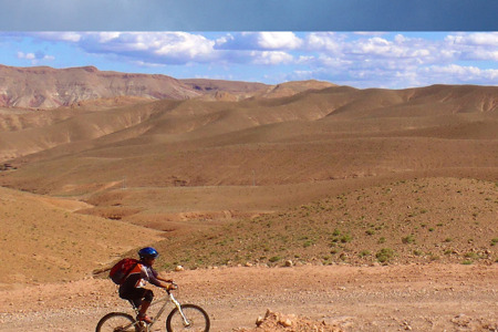 Mountain bike.png