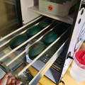 emu-hatching-eggs-artificial-incubation