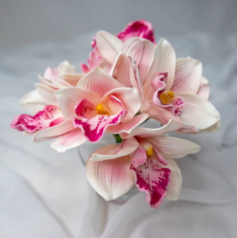 Pink Cymbidium ( 6 Pack ) - Realistic Artificial Flowers - Image 2