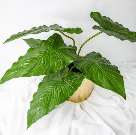 Small Calla Leaf - Realistic Artificial Flowers