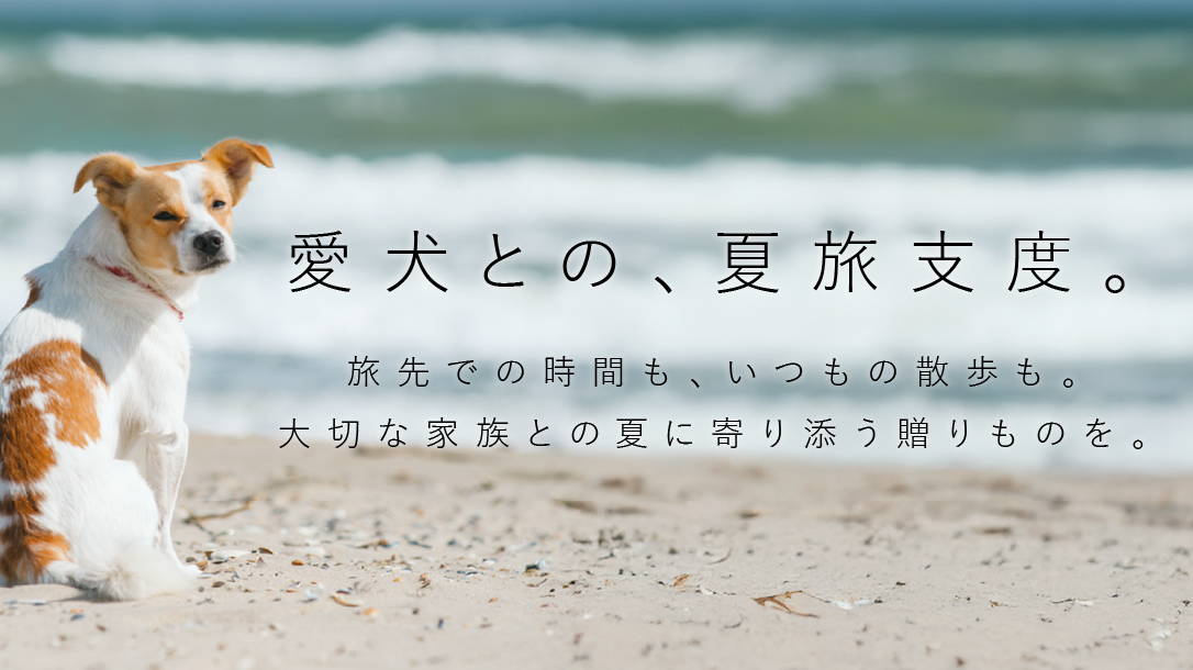 愛犬との、夏旅支度。 旅先での時間も、いつもの散歩も。大切な家族との夏に寄り添う贈りものを。