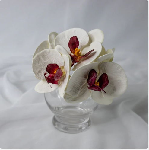 White and Dark Pink Phalaenopsis Flowerhead (6 Pack) - Realistic Artificial Flowers - Image 2