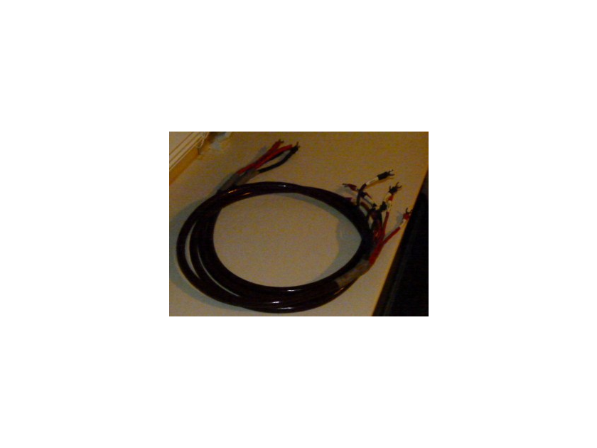 Cardas Golden Cross Bi-wire speaker cables with spade termination