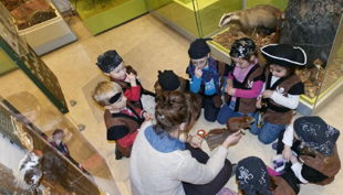 naturkundemuseum kleine piraten schatzsuche