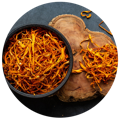 A bowl of Cordyceps found in the best cordyceps supplement benefits