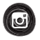 Instagram Follow Button