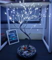 The Original Fairy Lights Tree customer review