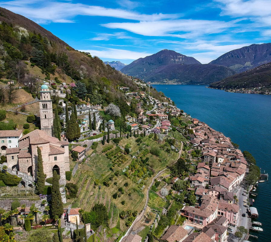 Vignes ensoleillées du Tessin