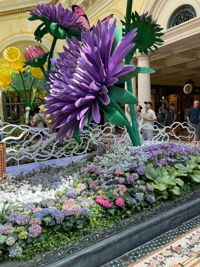 Bellagio Conservatory & Botanical Gardens Las Vegas reviews photo