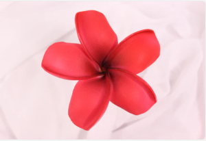 Passion Red Frangipani Real Touch Frangipani Real Touch (6 Pack) - Realistic Artifical Flowers