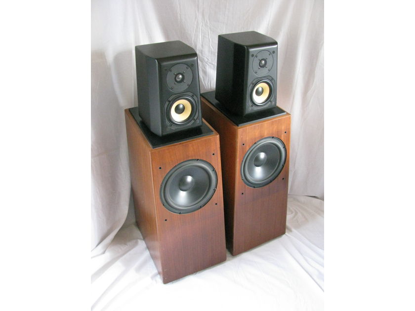 Aerial Acoustics Model 10t Audiophile Speakers Outside of Seattle pick up only