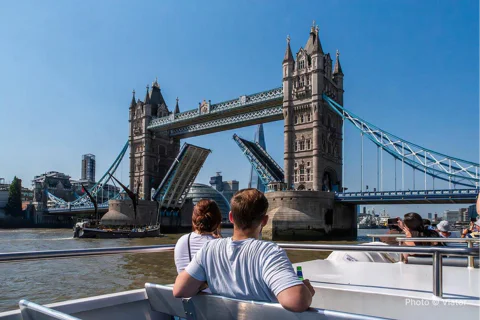Thames Sightseeing Cruise with Live Guide