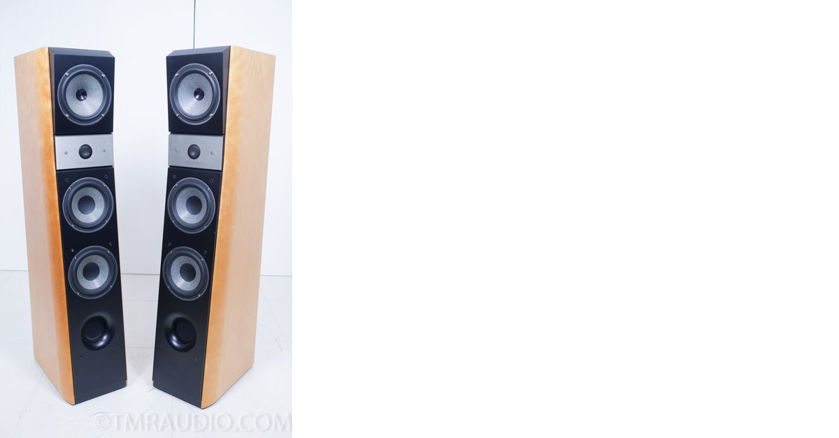 【中古】 Focused Metrosonics Fire
