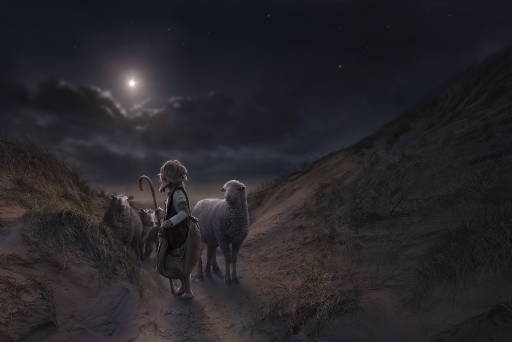 Young shephered boy walking with sheep. He is looking back over his shoulder at the star.