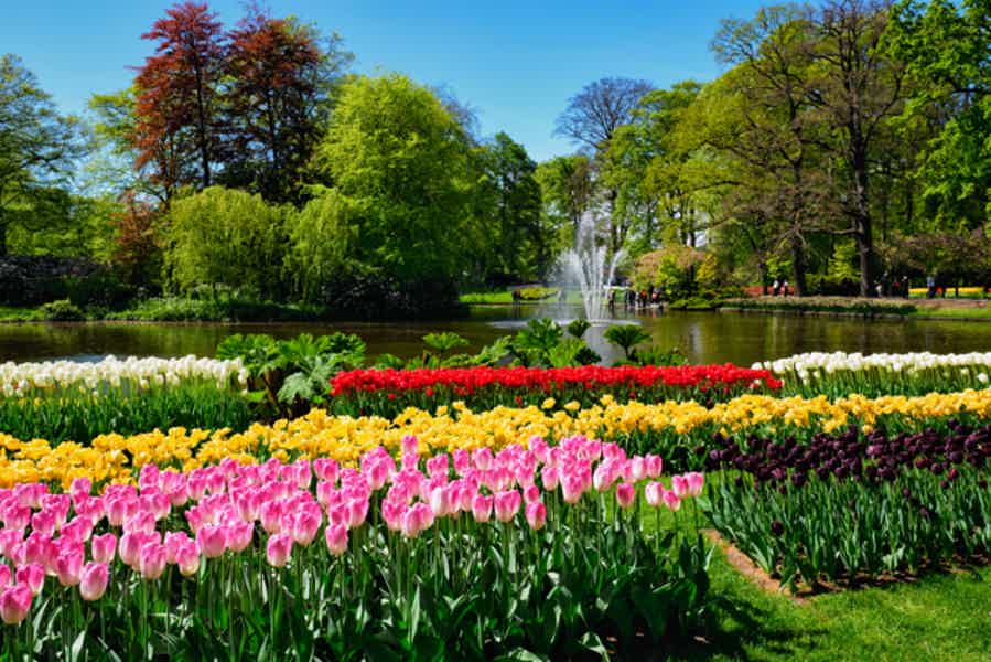 Keukenhof Entry Ticket plus Round-Trip Shuttle Bus - photo 6