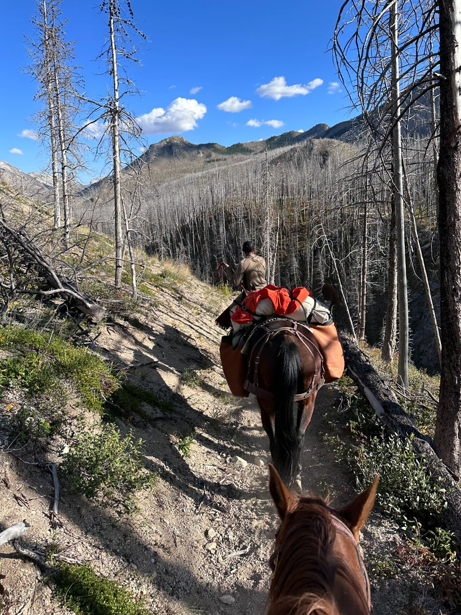 Horseback Trail Rides 1