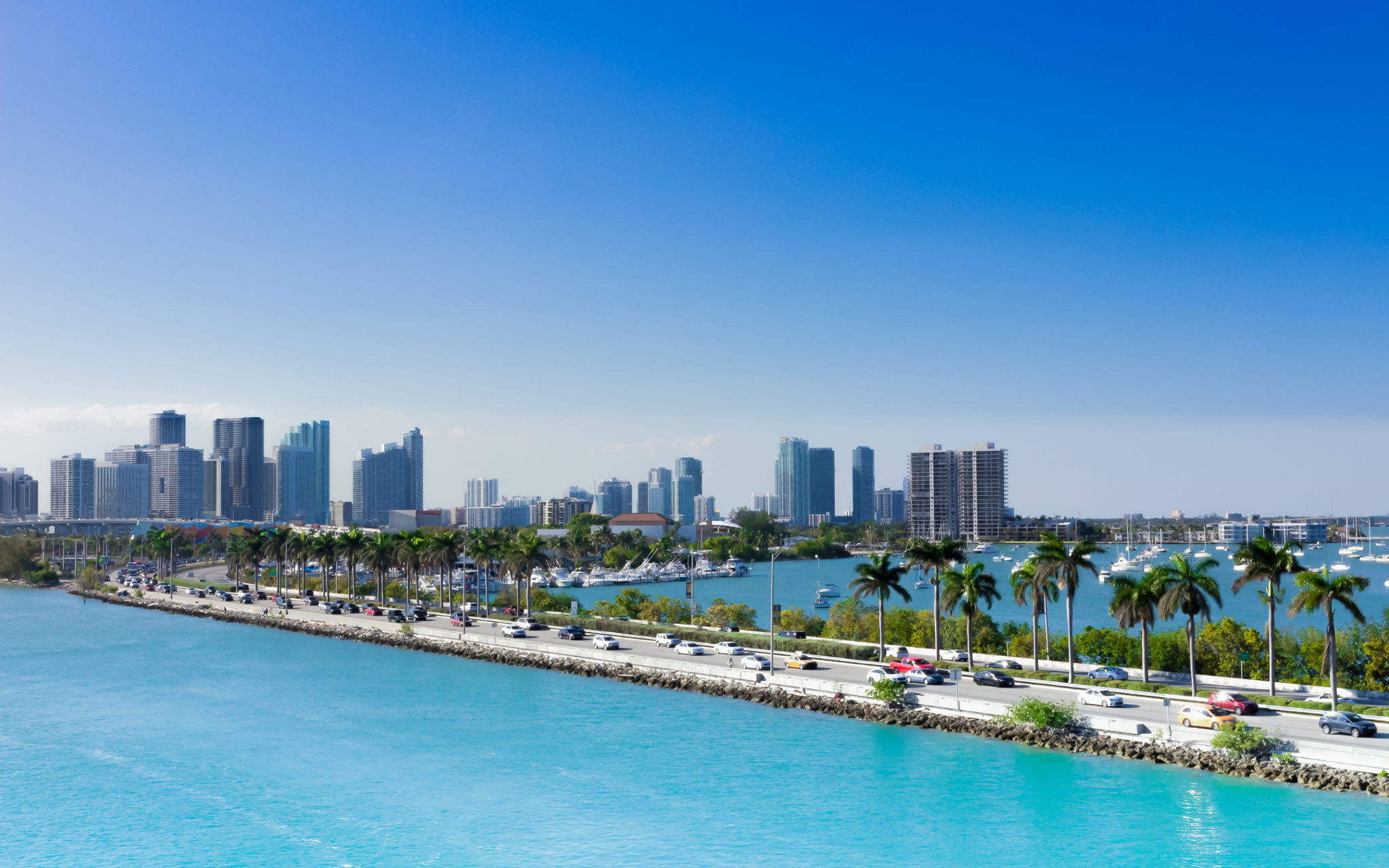 featured image for story, Goodbye snow, hello palm trees, more people moving to Florida