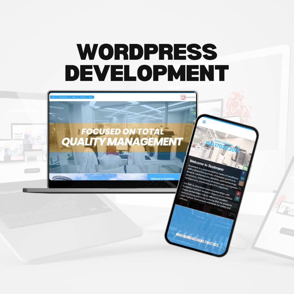 Responsive CSS developers developer - Awais H.'s portfolio image