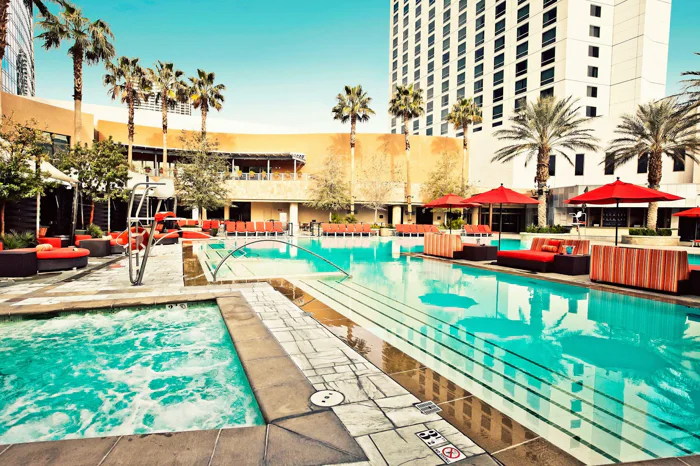 Palms Pool